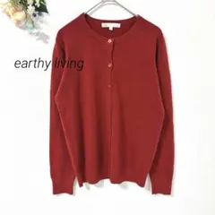 2.52 earthy living トップバリュ 長袖 カーディガン シンプル
