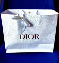 DIOR エンボス加工 ショッパー 大きめ ギフト袋