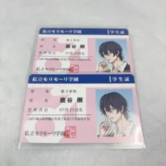 ナツメカズキ NIGHTSBEFORENIGHT 免許証風カード 一条時雨 雪鷹 ナツメカズキ NIGHTSBEFORENIGHT 免許証風カード 一条時雨 雪鷹 - メルカリ