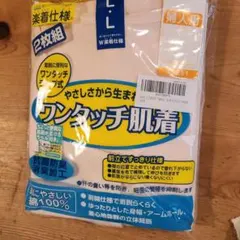 Item thumbnail for item 13a10a5b-f22c-4359-aeed-782b89ec038c