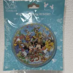 東京ディズニーリゾート 30周年缶バッジ ディズニーランド ミッキー ミニー