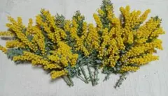 バリバリアビ様 リクエスト 2点 まとめ商品