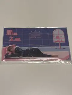 佐久間大介 アクリルスタンド RAYS