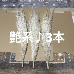 Item thumbnail for item ded7225f-717f-4753-9ea9-72362b4eaeb2