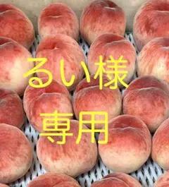 るい様　専用出品