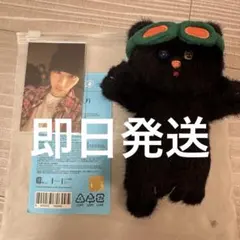 BOYNEXTDOOR テサン トレカ ぬいぐるみ まとめ売り 値下げ中 BOYNEXTDOOR プネクド テサン キーリング トレカ付き