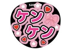 【ぴぞく様専用】