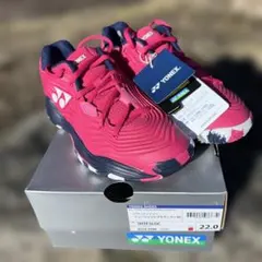 Item thumbnail for item 4fb41d08-5cb4-4de4-9419-7bcb4256c9f2