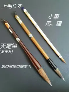 Item thumbnail for item d51ca29f-32c7-4671-a64a-c86b76e01d41