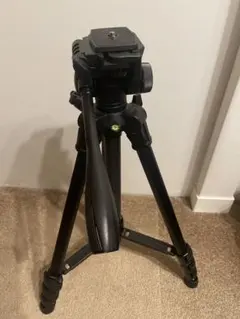 Item thumbnail for item a6079759-692d-4220-abf5-110995fdcf36