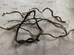 流木インテリアセット　美品　ウッド調　ハンガー　工作　DIY