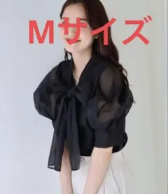 ブルーイースト　オーガンジーリボンブラウス　セゾンドパピヨン　半袖のサムネイル