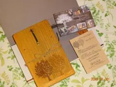 Item thumbnail for item fd63af2a-f576-48d2-8deb-de937e428e6b