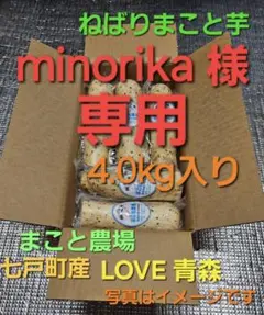 minorika様専用 青森県七戸町産ねばりまこと芋4.0kg(ネバリスター)