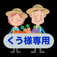 くう様専用 淡路島新玉ねぎ 秀品 スーパーアップ 3kg 減農薬 有機肥料 夢玉