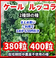 ケール＆ルッコラの種セット⭕️のサムネイル
