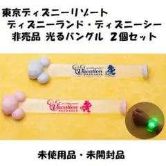 東京ディズニーリゾート ディズニーシー ディズニーランド 光るバングル 2個
