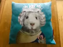 2026年最新】pets rock クッションの人気アイテム - メルカリ