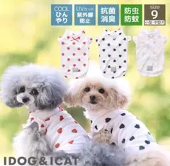 新品同様♡ iDOGのサムネイル