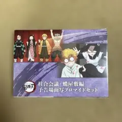 鬼滅の刃　竈門炭治郎 立志編　柱合会議・蝶屋敷編 予告場面写ブロマイドセット