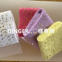専用ページ