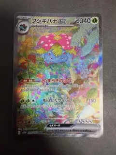 ポケモンカード SAR AR まとめ売り 引退品 フシギバナ タケルライコ ポケモンカード SAR AR まとめ売り 引退品 フシギバナ