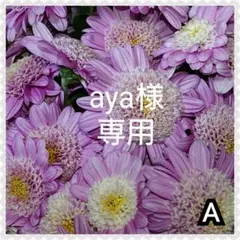 aya様専用