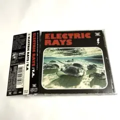 ELECTRIC RAYS
