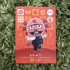 【あつ森 amiibo】ししょー SP111