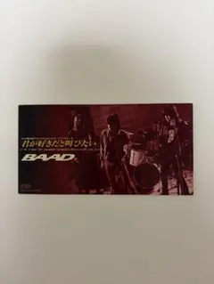 BAAD 君が好きだと叫びたい 8cmシングルCD スラムダンク