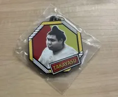 Item thumbnail for item d995d164-012a-4afa-b917-01ac3d25aa8d