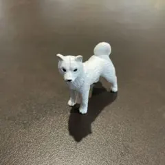 北海道犬　ミニチュアプラネット　miniature planetのサムネイル