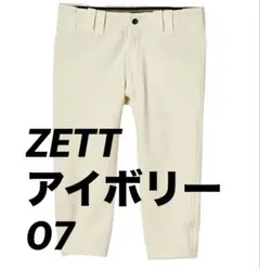 Item thumbnail for item 87537de8-0f88-4f8e-9c7e-e270c773196c