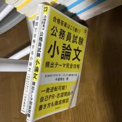 Item thumbnail for item 85842a94-a798-460d-80e2-bbe846d524d6