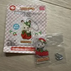 シルバニアファミリー　赤ちゃん　アクリルキーチェーン　いちご　ハスキー