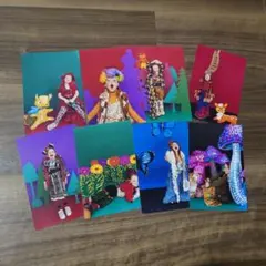 muchacha ムチャチャ　カタログ