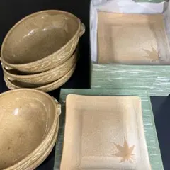 お皿10点セット