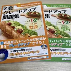 Item thumbnail for item a8e5a39a-c21d-47a2-86ad-f7ea509f3b57