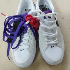 NIKE スカイブラウン×NIKE SBコラボ