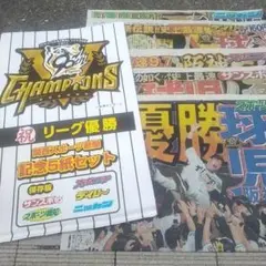 関西限定2025年　阪神タイガース優勝　スポーツ新聞５紙セット