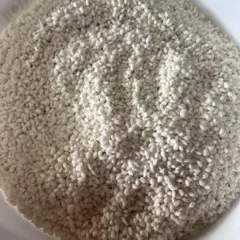 2025年産　餅米　1.5kg はぜかけ米のサムネイル