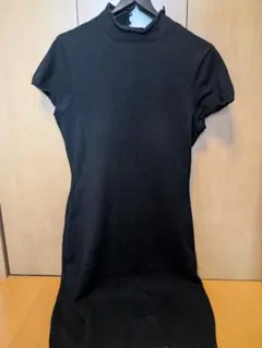 Item thumbnail for item a438a5ed-163e-4305-940b-f14b144e7154