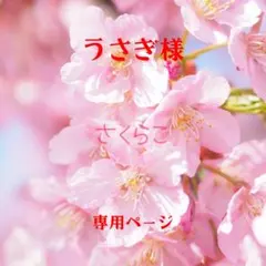 うさぎ様 リクエスト 5点 まとめ商品