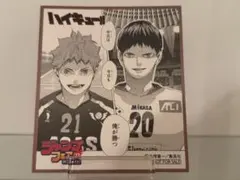 ハイキュー!! カード 影山飛雄 日向翔陽