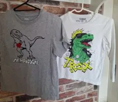 miyuu617様 リクエスト 2点 まとめ商品