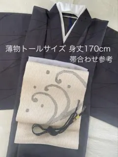 トールサイズ 夏小紋 絽縮緬 単衣 いしき宛付 裄68 ブルーグレー矢鱈縞