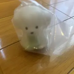 いろんないぬのライトマスコット くつ下といぬ てらおかなつみ