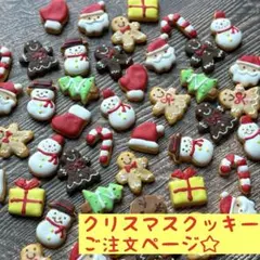 クリスマスクッキー ご注文ページ☆