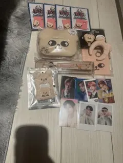 Straykids スンミン パピーム IDフォトホルダー セット