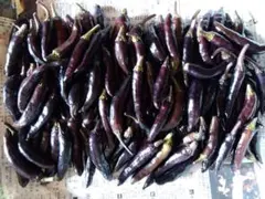 Torajiro様 リクエスト 2点 まとめ商品